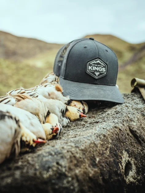 PROJECT: KINGS CAMO gallery 5