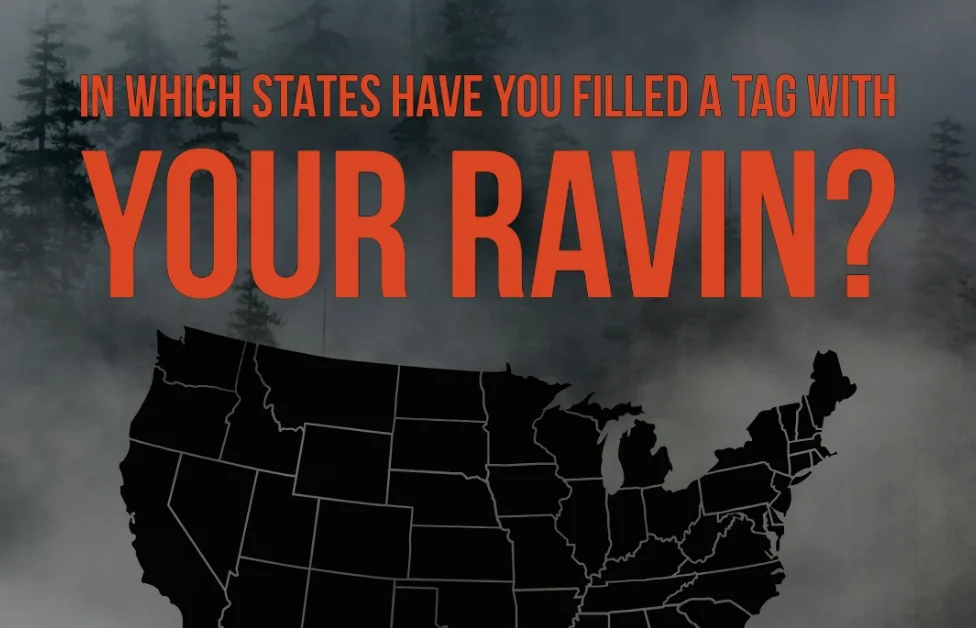 PROJECT: RAVIN gallery 2