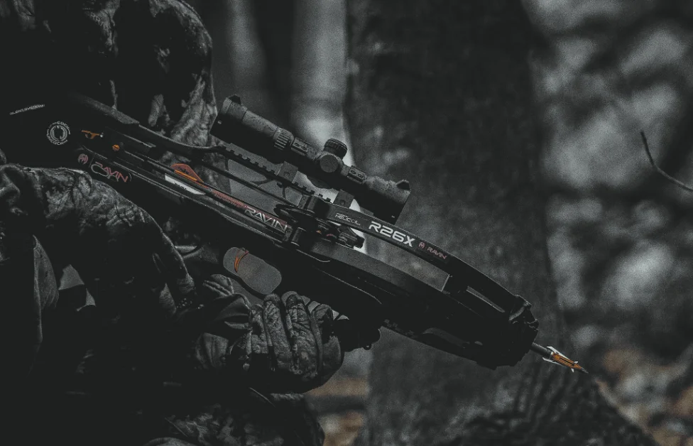 PROJECT: RAVIN gallery 3