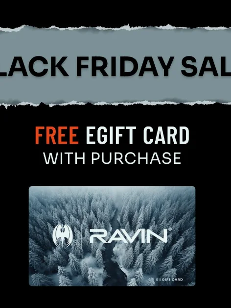 PROJECT: RAVIN gallery 4