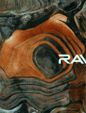 PROJECT: RAVIN gallery 1