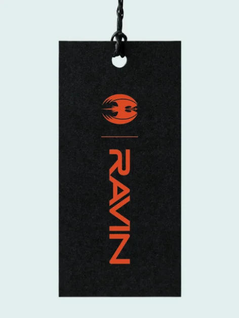 PROJECT: RAVIN gallery 3