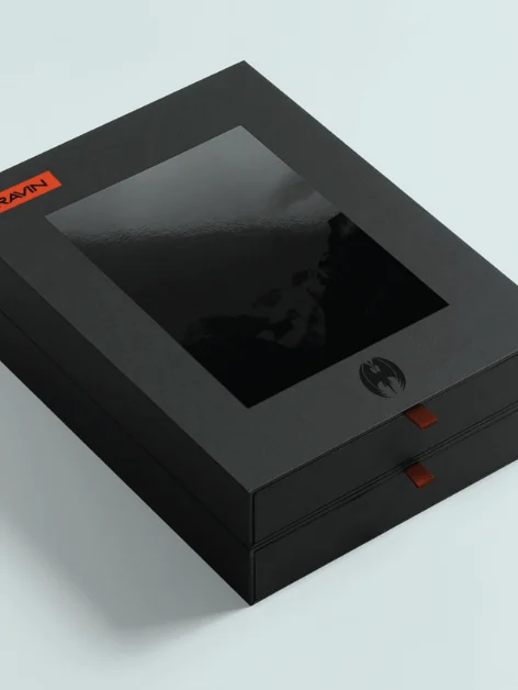 PROJECT: RAVIN gallery 4