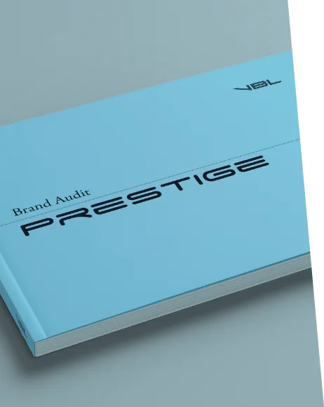 Velocity Brand Labs brand audit strategy visual