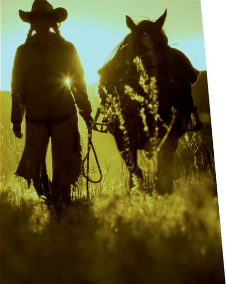 Velocity Brand Labs content creation cinematic still