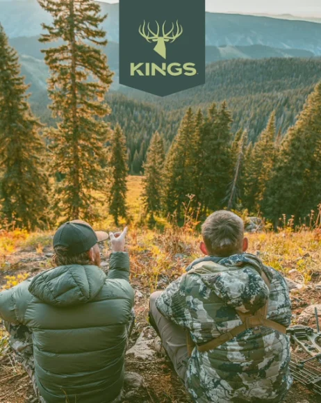 Velocity Brand Labs PPC performance and management campaign visual