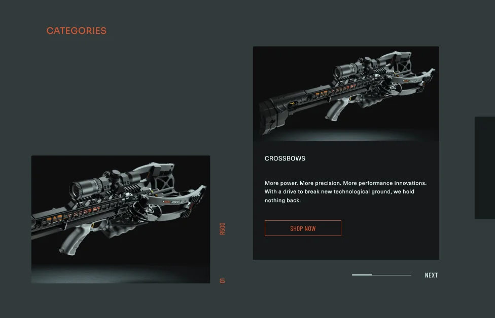 PROJECT: RAVIN gallery 1