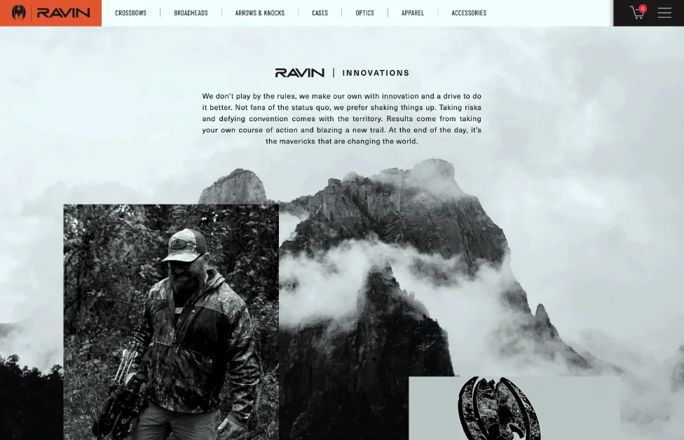 PROJECT: RAVIN gallery 2